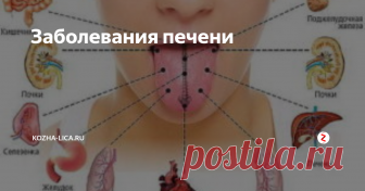 Заболевания печени  Функции печени
Помимо очищения, печень выполняет еще ряд важнейших функций. Среди них:
Выработка желчи, которая играет важную роль в процессах пищеварения.
Регуляция  метаболизма (процесса обмена веществ). Она принимает участие в обмене  белков, жиров и углеводов, а также выделяет желчные кислоты, за счет  которых витамины попадают в кишечник.