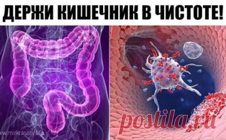 ДЕРЖИ КИШЕЧНИК В ЧИСТОТЕ! 
«Генеральную уборку организма» нужно начинать с пищеварительного тракта.
Каша для очистки кишечника. 
 Есть каша, которая прекрасно очищает кишечник. Раньше такой кашей детей спасали от неминуемой операции, когда они по ошибке глотали несъедобные предметы. Берем поровну овес и рис, промываем и варим, как обычную кашу, до загустения. Стакан смеси этих круп и залить 2,5 стакана воды. Едим кашу без масла, но можно слегка подсолить, вместо завтрака, в течение нескольких