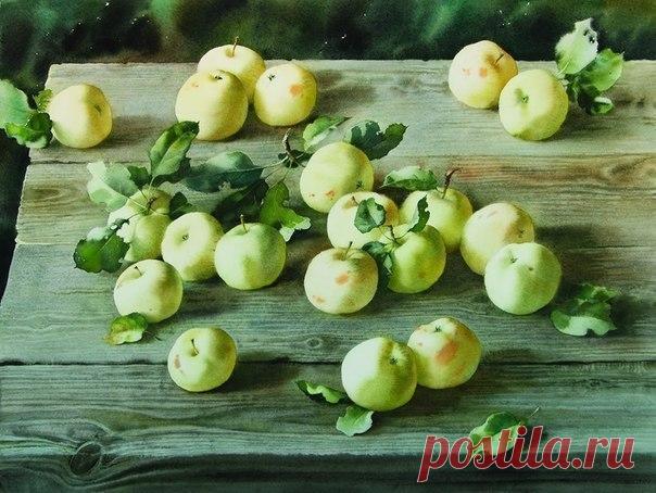 Не тряси зеленую яблоню - когда яблоко созреет, оно упадет само. Все происходит так, как должно быть и в тот момент, когда это нужно.