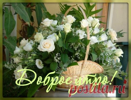 Доброе утро...