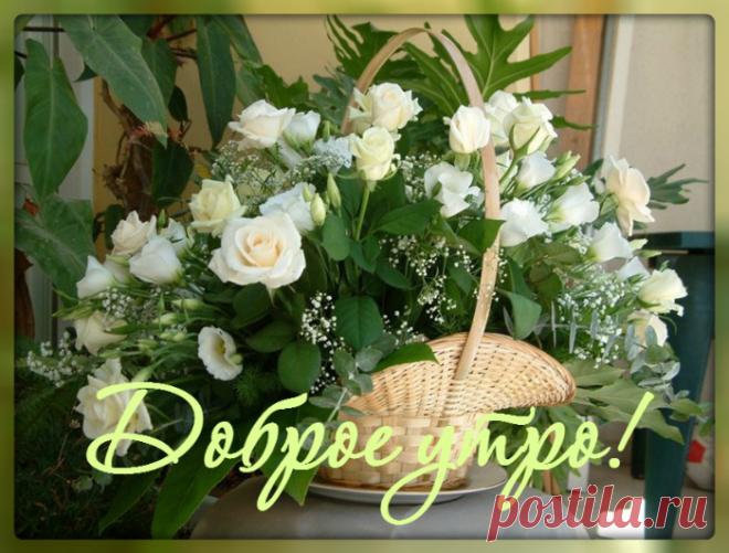 Доброе утро...