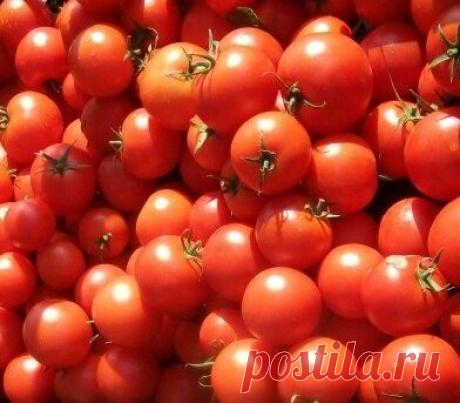 Яблочная аджика на зиму. Вкуснейший соус для любого случая! | Рецепты тёти АСИ | Яндекс Дзен