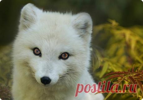Мой Мир@Mail.Ru