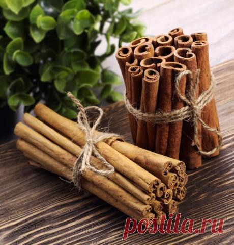 Корица от артрита

Страдающие артритом могут ежедневно, утром и вечером, принимать 1 чашку теплой воды с 2 ложками меда и 1 маленькой ч.л. корицы.
Регулярный прием вылечивает даже хронический артрит.
В недавних исследованиях руководимых Копенгагенским Университетом, установлено, что когда доктора назначали своим пациентам смесь 1 ст.л. меда и 1/2 ч.л. корицы перед завтраком, через неделю у 73 пациентов из 200 полностью прошла боль, а в течение месяца большинство пациентов,...