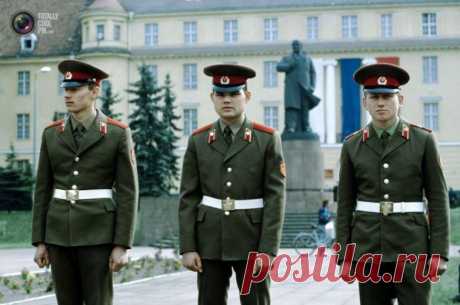 Конец советской эпохи в Германии / Назад в СССР / Back in USSR