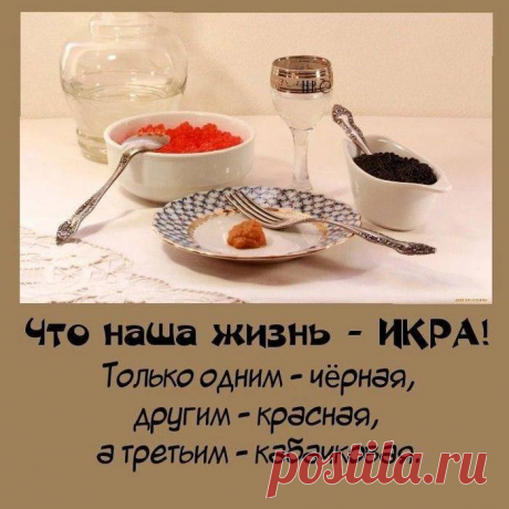 Юмор&gt;Приятного аппетита!