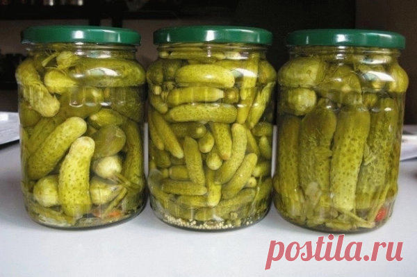 🥒Огурцы по-болгаpcки🥒 в микроволновке за 3 минуты ...