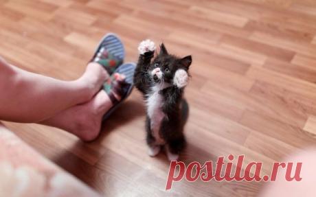 Мой Мир@Mail.Ru