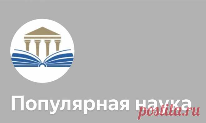 Популярная наука