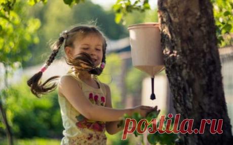 Очень важно руки мыть: несколько отличных идей умывальников для участка | Краше Всех