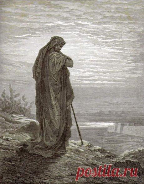 (88) Одноклассники