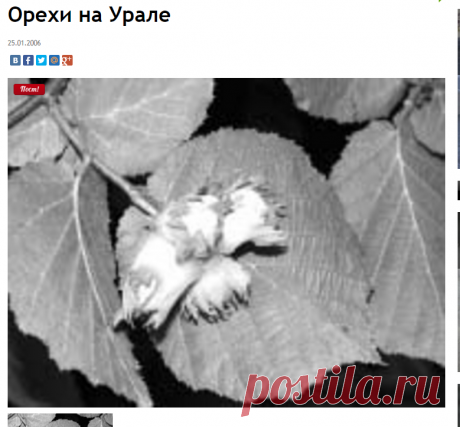Урожайная газета