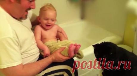 КОТИК – ЛУЧШАЯ НЯНЬКА! | Видео - AdMe.ru