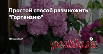 Простой способ размножить 