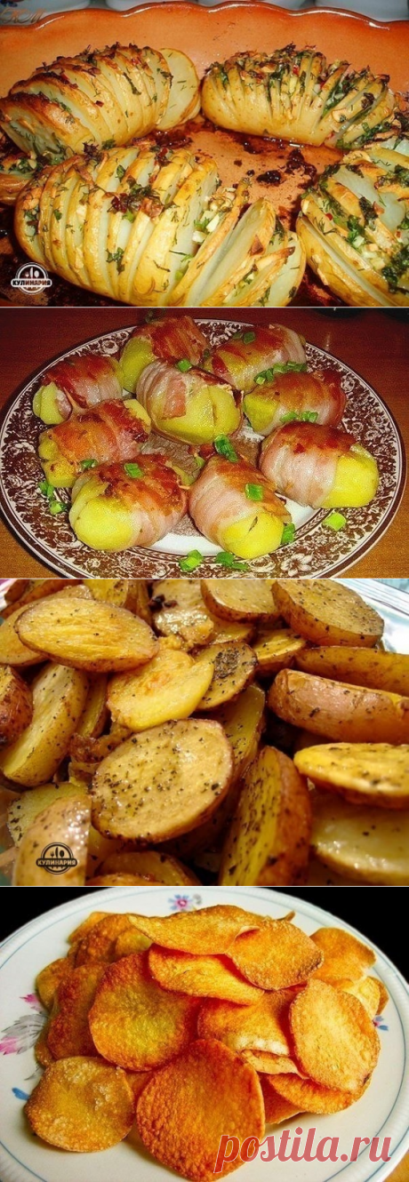 ТОП-10 ВКУСНЫХ РЕЦЕПТОВ ИЗ КАРТОФЕЛЯ