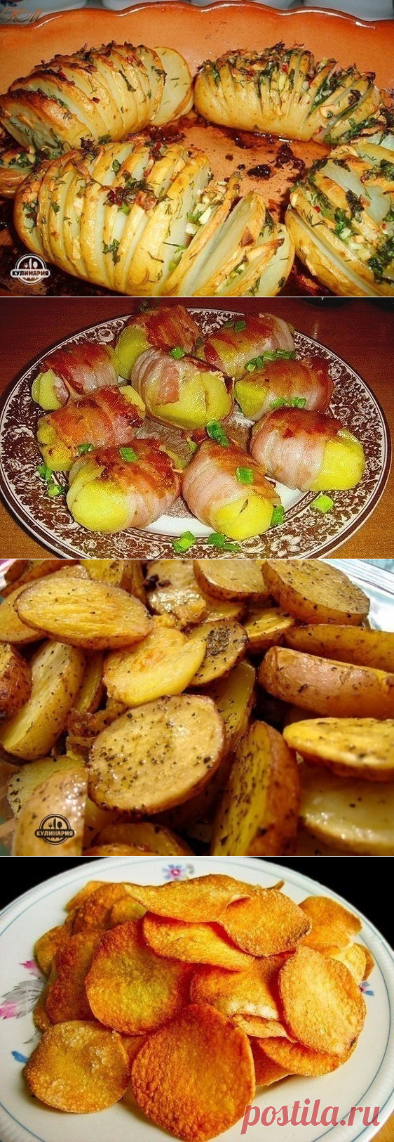 ТОП-10 ВКУСНЫХ РЕЦЕПТОВ ИЗ КАРТОФЕЛЯ