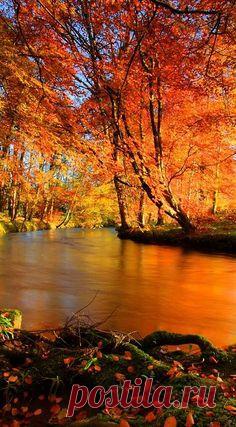 (1) Pinterest • Всемирный каталог идей