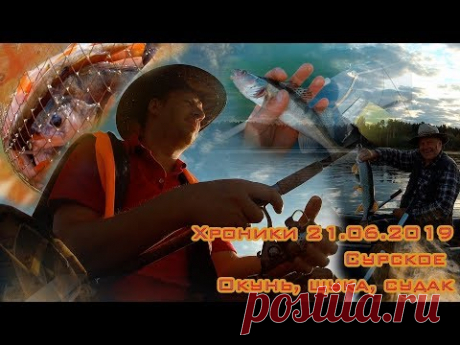 Хроники. Рыбалка 21.06.2019 Сурское. Ловля окуня, щуки и судачков.