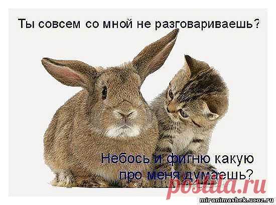 Отвечаем на неудобные вопросы