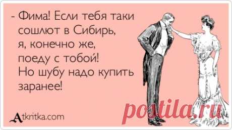 - Фима! Если тебя таки   сошлют в Сибирь,     я, конечно же,   поеду с тобой!   Но шубу надо купить   заранее! / открытка №383531 - Аткрытка / atkritka.com