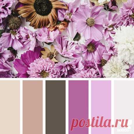 today's inspiration image for { flora hues } is by @alajamie ... thank you, Jamie, for another inspiring #SeedsColor image share!