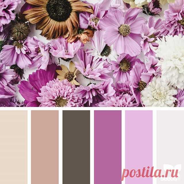 today's inspiration image for { flora hues } is by @alajamie ... thank you, Jamie, for another inspiring #SeedsColor image share!