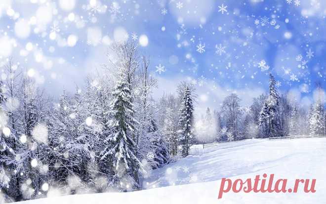 Праздники и памятные даты февраля - календарь праздников