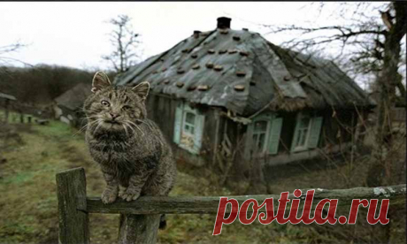 Куда исчезли жители деревни Растесс