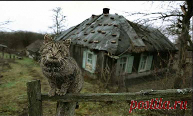 Куда исчезли жители деревни Растесс