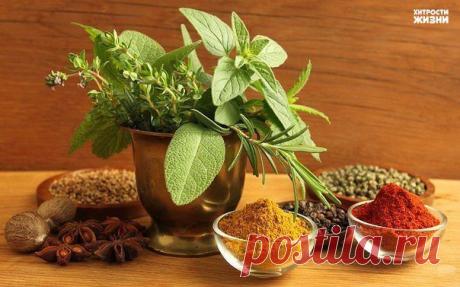 на страже стройной фигуры