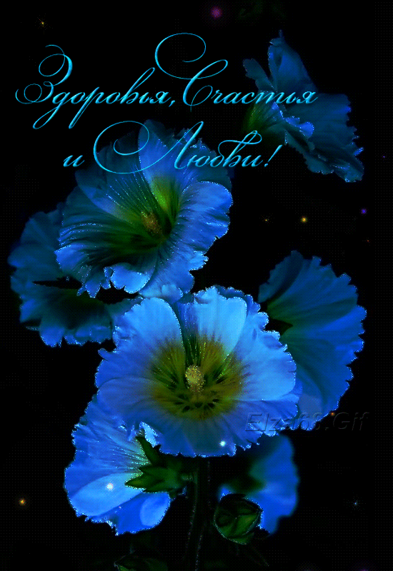 nm4cbe0m771f0b109h3992m831952sdl.gif (550×800)
