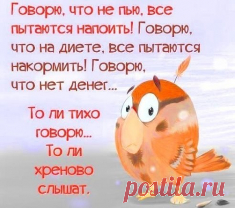 Открытки, в которых можно узнать себя.