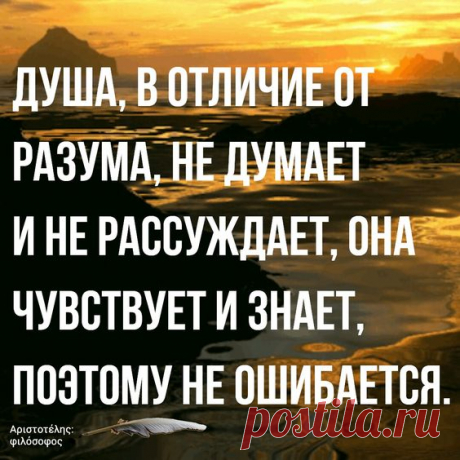 (53) Pinterest