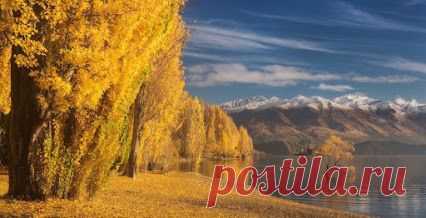 Иногда тишина может сказать
куда больше, чем слова, но и
в словах можно услышать тишину.