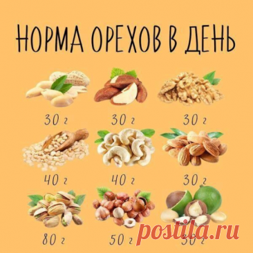 Орехи полезны для нашего здоровья, но даже здесь нужна норма!