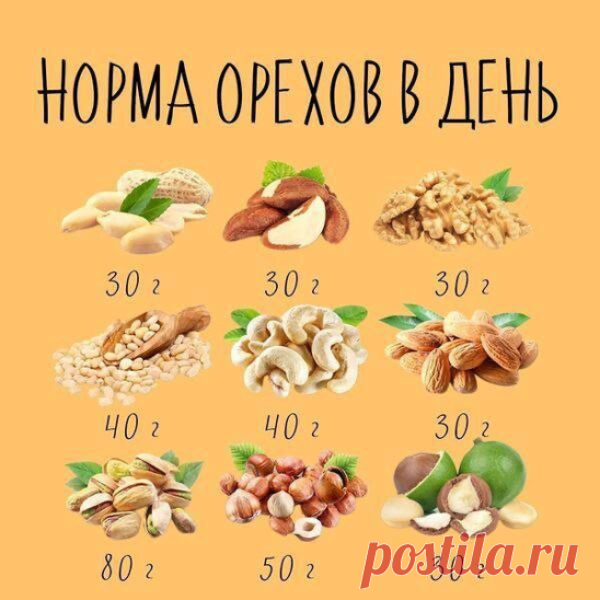 Орехи полезны для нашего здоровья, но даже здесь нужна норма!