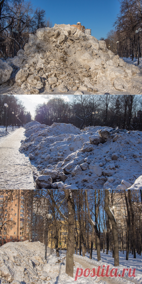 Петровский парк - комплекс или сквер?|ЕРУНДОПЕЛЬ