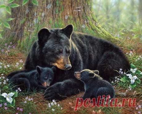 Художник Abraham Hunter.