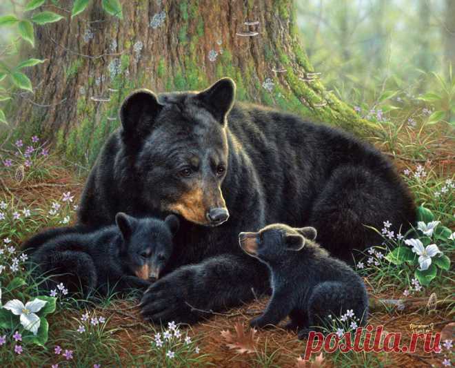 Художник Abraham Hunter.