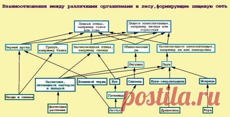 процедурный кабинет документация: 873 изображения найдено в Яндекс.Картинках