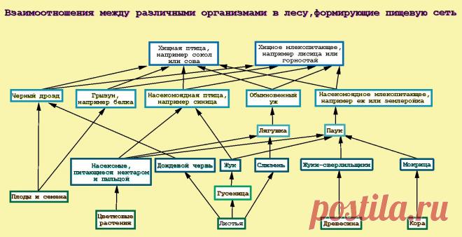 процедурный кабинет документация: 873 изображения найдено в Яндекс.Картинках
