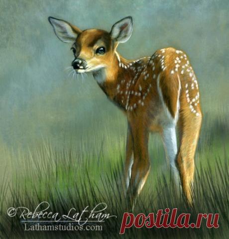 Блог | Картины дикой природы и природы Ребекки Лэтэм