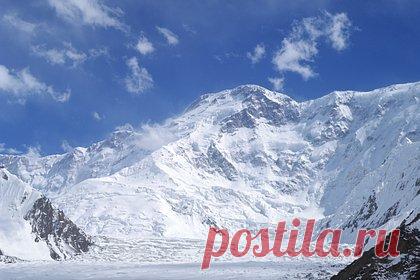 Раскрыты подробности о состоянии напарника не выжившей на пике Победы Наговициной