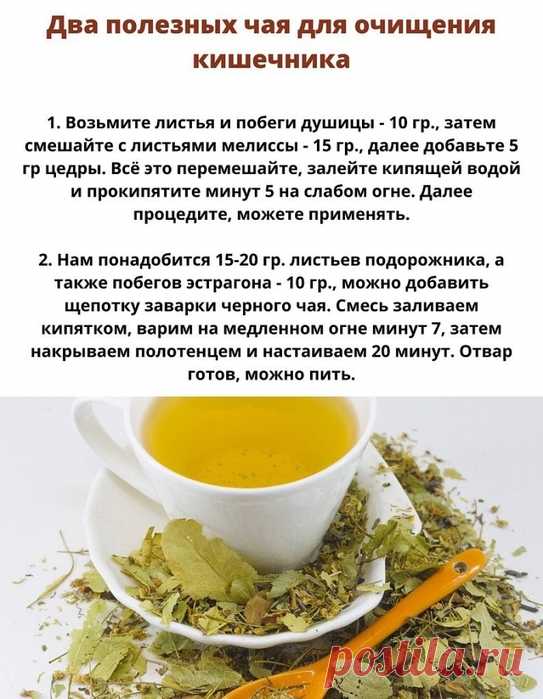 Два полезных чая для очищения кишечника