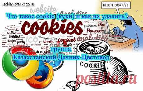 куки – это маленькие текстовые файлы, которые обычно  
создаются какой-либо веб-страницей, которую мы посещали в интернете.