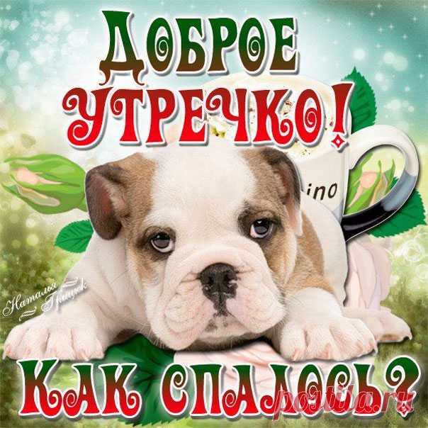 Доброе утречко открытка Как спалось картинка анимация желаю приятного утра