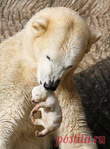 Интересные новости