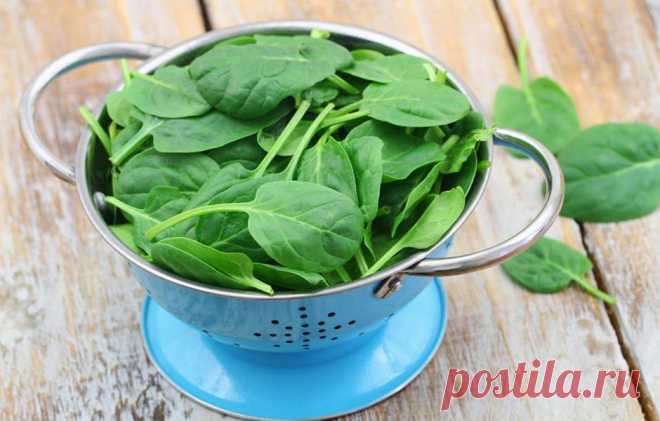 Восемь продуктов, которые отлично разгоняют метаболизм - KitchenMag.ru