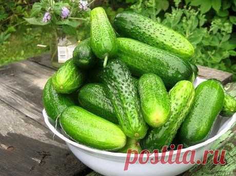 1 непрочитанный чат