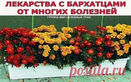 (78) Одноклассники